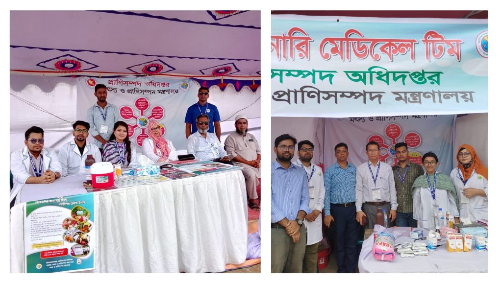 DLS provides complimentary veterinary care at 29 Eid cattle markets in Dhaka